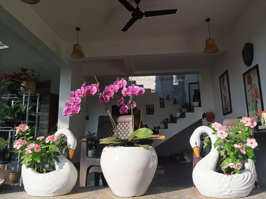 Almond Villa Find Your Paradise Alibag Exterior photo